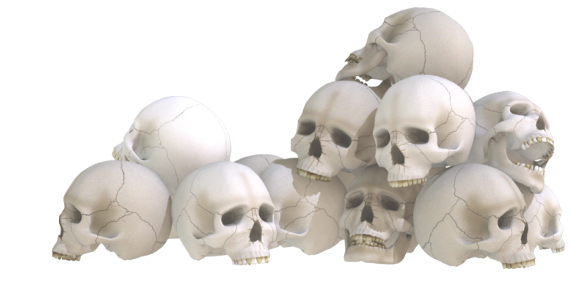 skulls